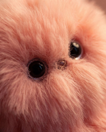 closeup-eyes.png