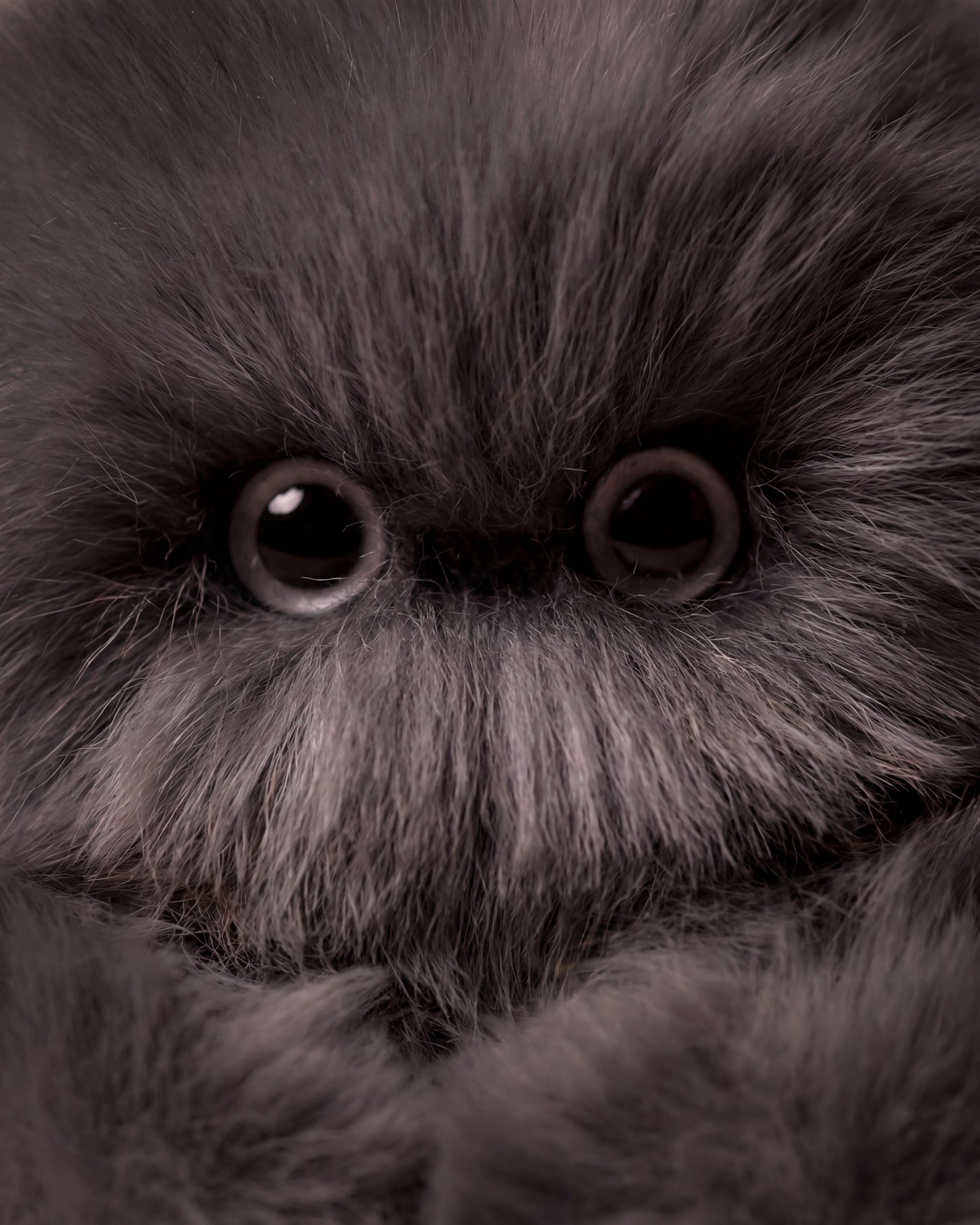 closeup-eyes.png
