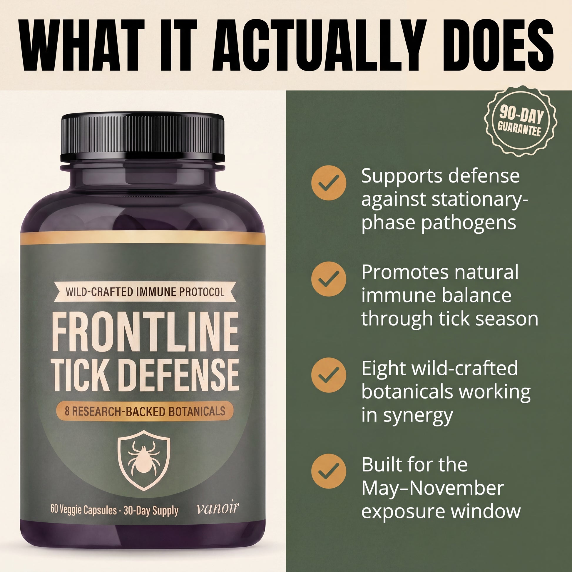 Slide 2 — What it actually does