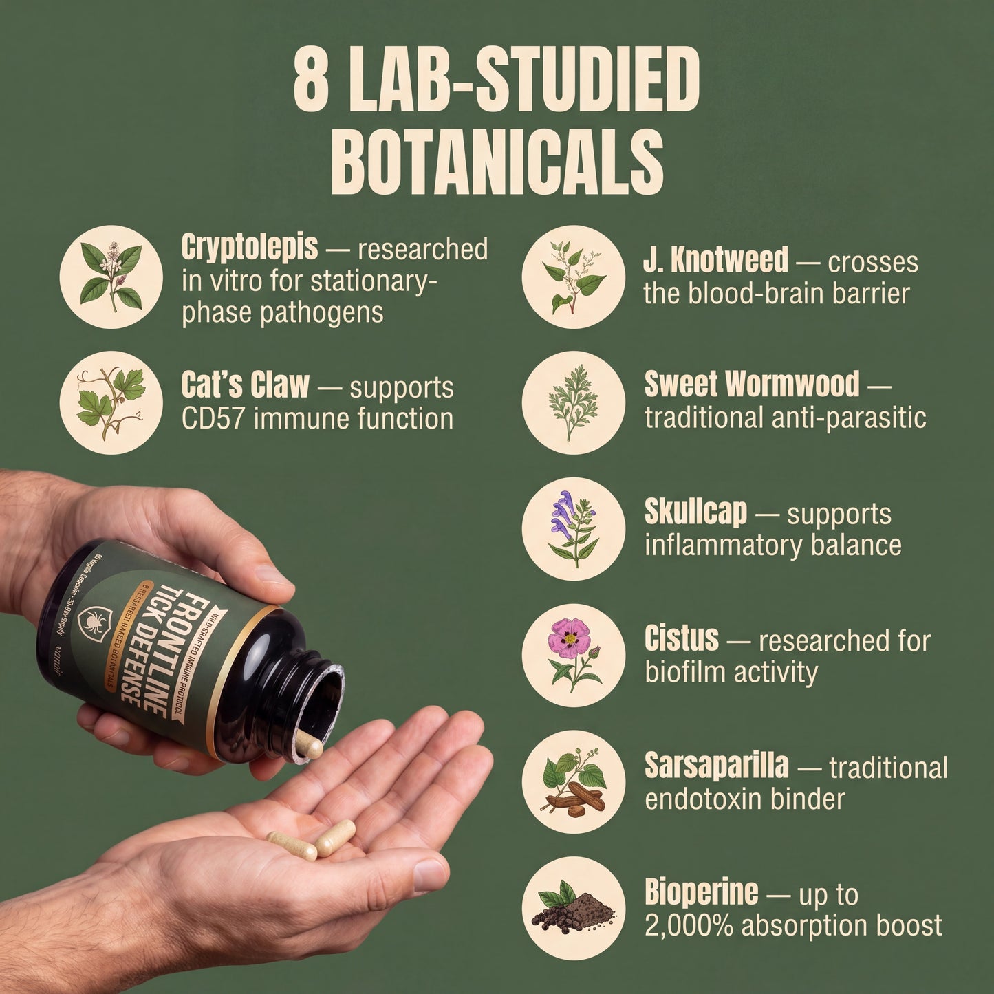 Slide 3 — 8 research-backed botanicals