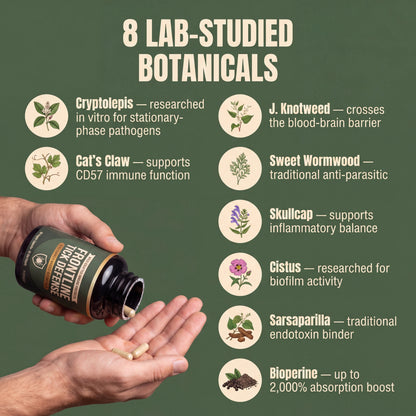 Slide 3 — 8 research-backed botanicals