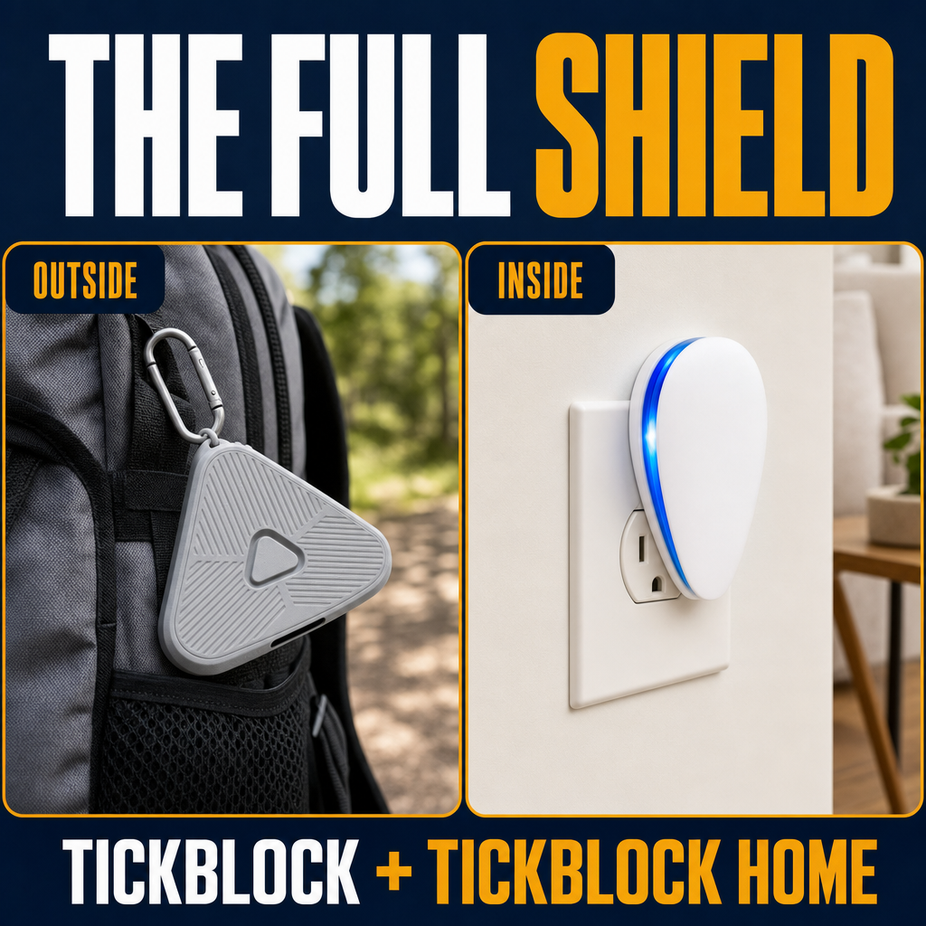 The full shield — outside and inside